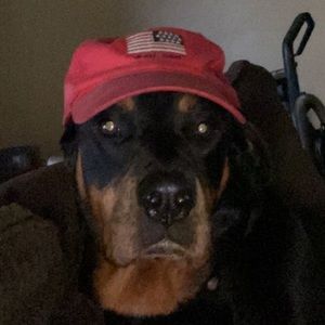 Meet your Posher, Jerry